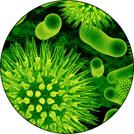 microbe em
